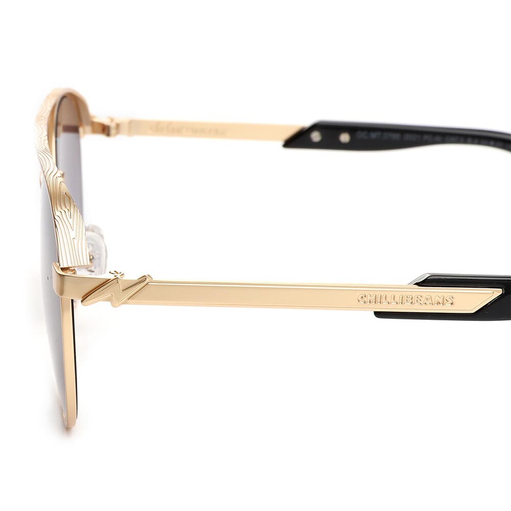 Lentes De Sol Harry Potter Redondo - Unisex Gradiente/Dorado