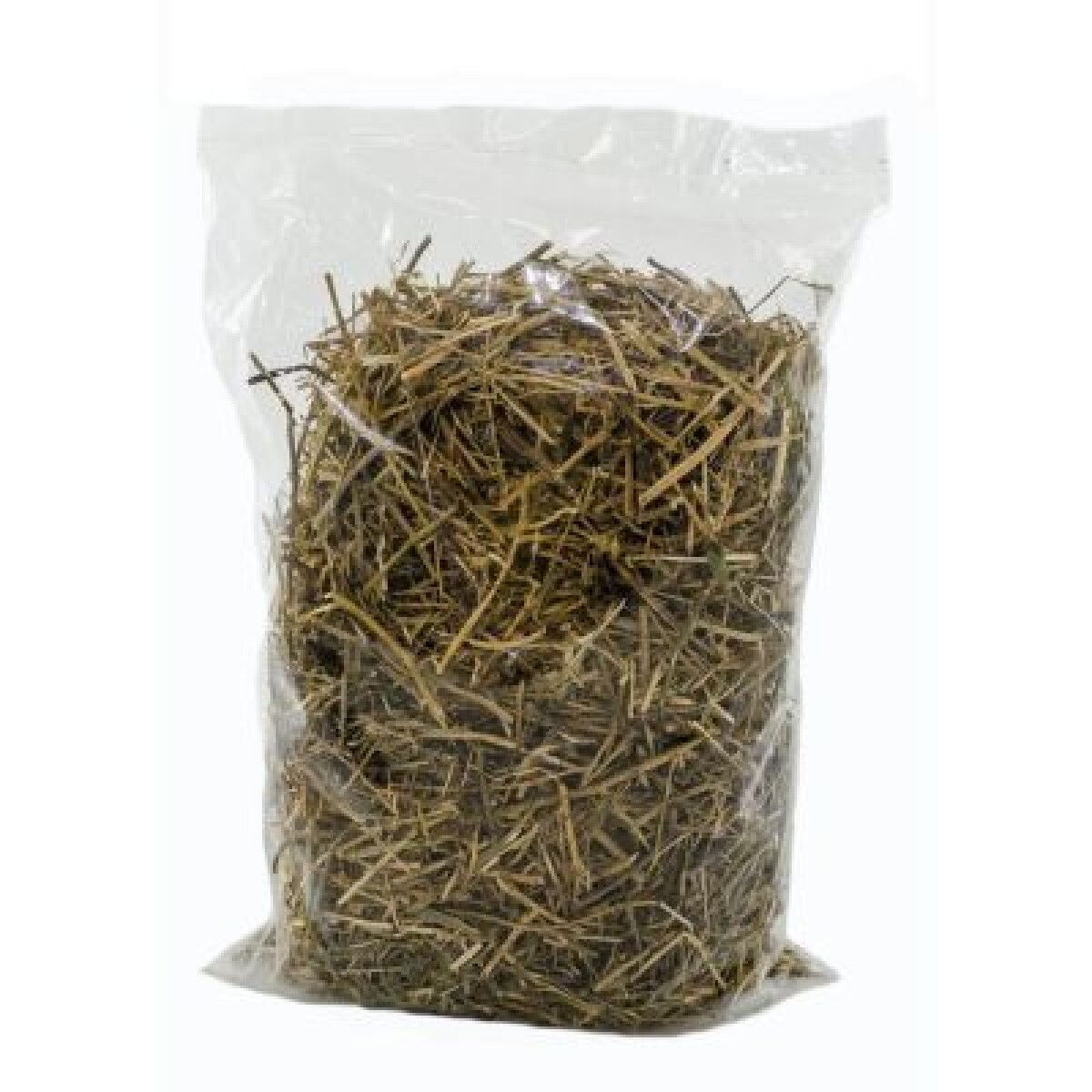 Alfalfa "Sarita" 