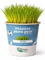 ALIMENTO PARA MASCOTAS ALIMENTO PARA MASCOTAS