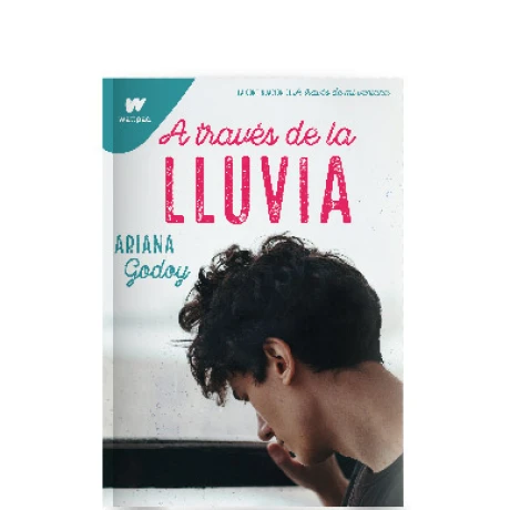 Libro a Través de la Lluvia Ariana Godoy 001