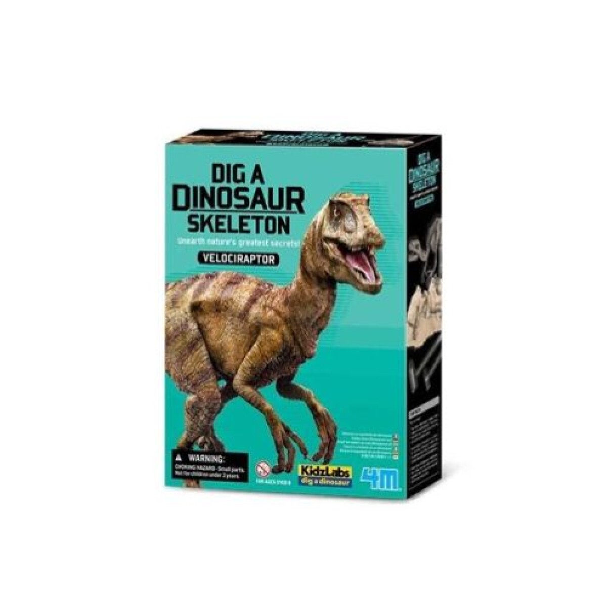 Excavá un dinosaurio - Velociraptor 