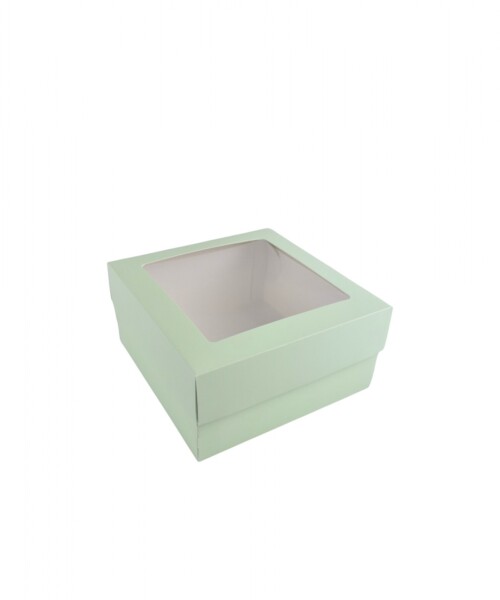Caja 20x20x9,5 c/visor. VERDE AGUA