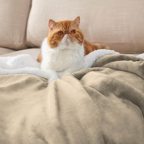 Frazada X2 Manta Polar 2 Plazas C/corderito 200x230cm Beige