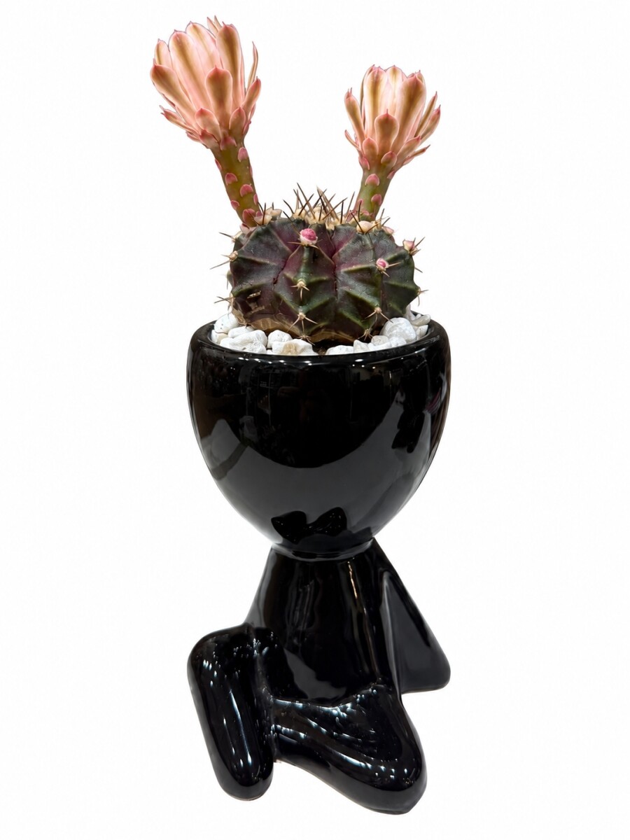 LITTLE PEOPLE CON CACTUS NEGRO