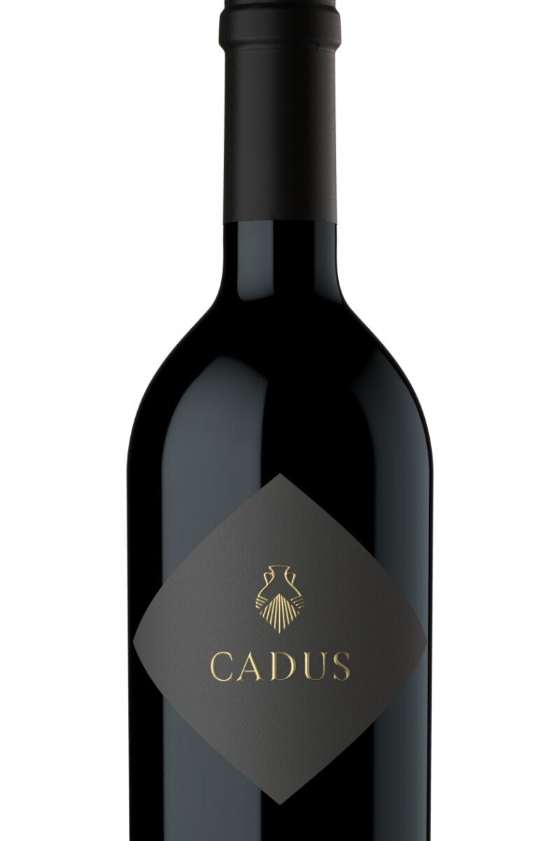 Vino Cadus Viña Vida Vineyard Malbec Vino Cadus Viña Vida Vineyard Malbec