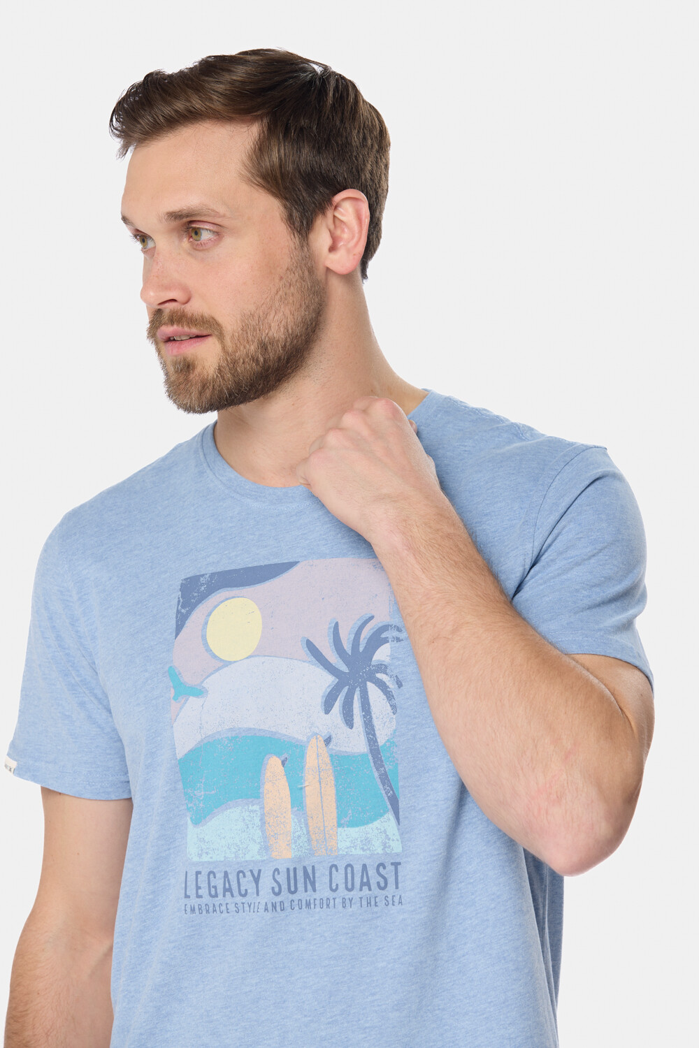 REMERA ESTAMPADA Azul
