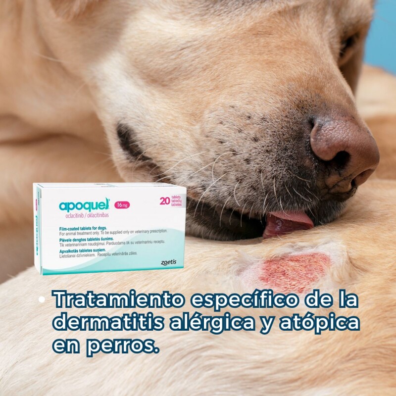 APOQUEL 16 MGS CAJA 20 COMPRIMIDOS APOQUEL 16 MGS CAJA 20 COMPRIMIDOS