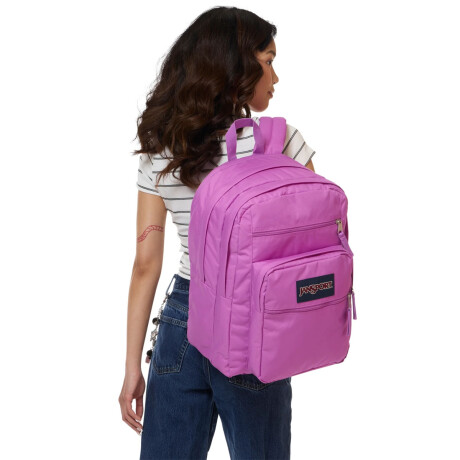 Mochila Escolar Laptop Jansport Big Student Original Urbana Digital Fuchsia