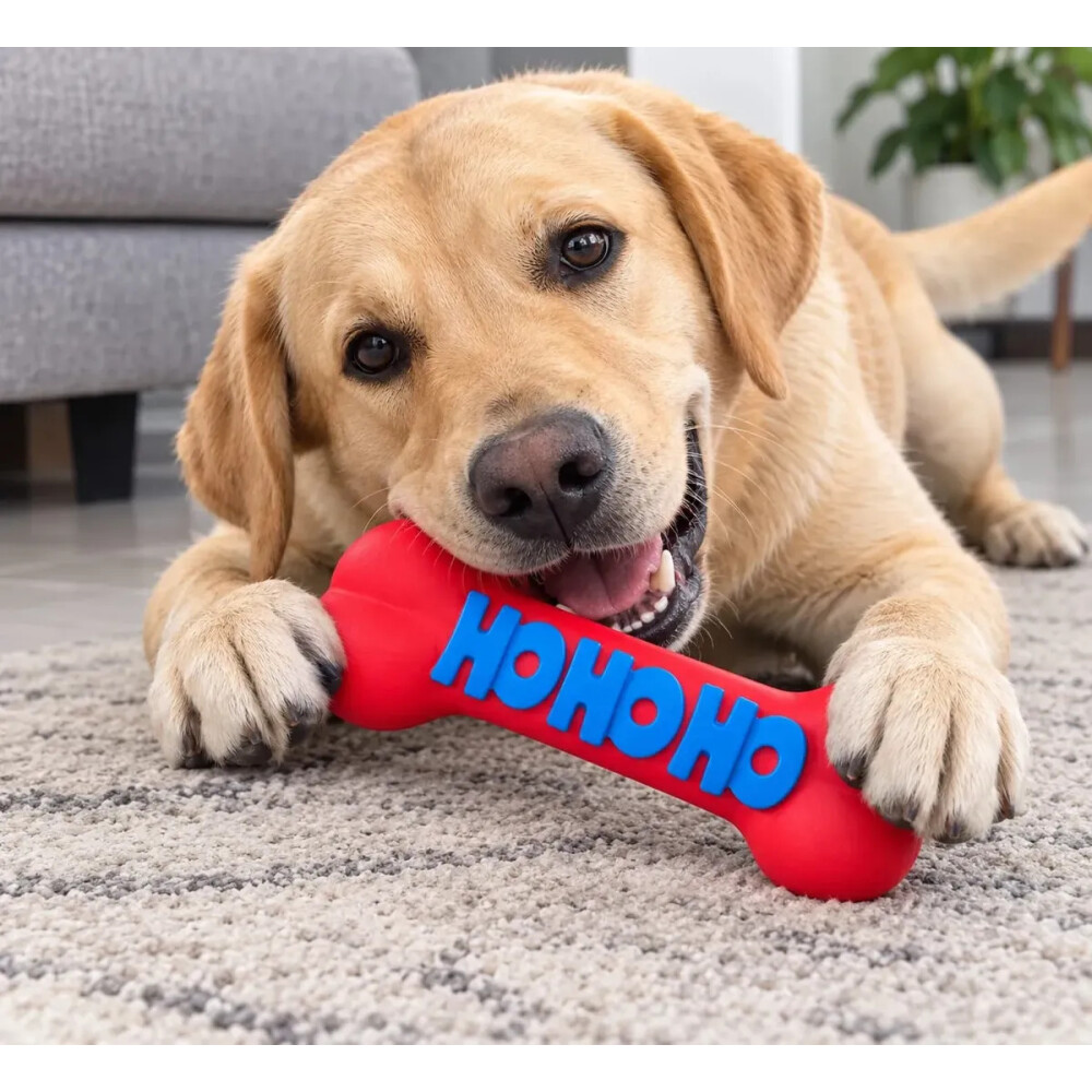 Hueso De Juguete Para Perros 23 X 8 Cm Con Chifle ROJO