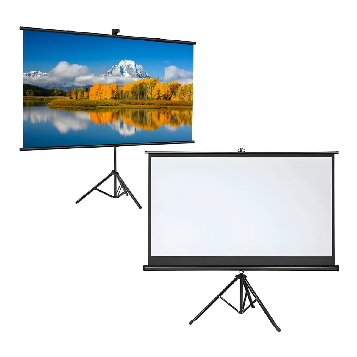 Pantalla De Proyeccion con Tripode 100" Ajustable 