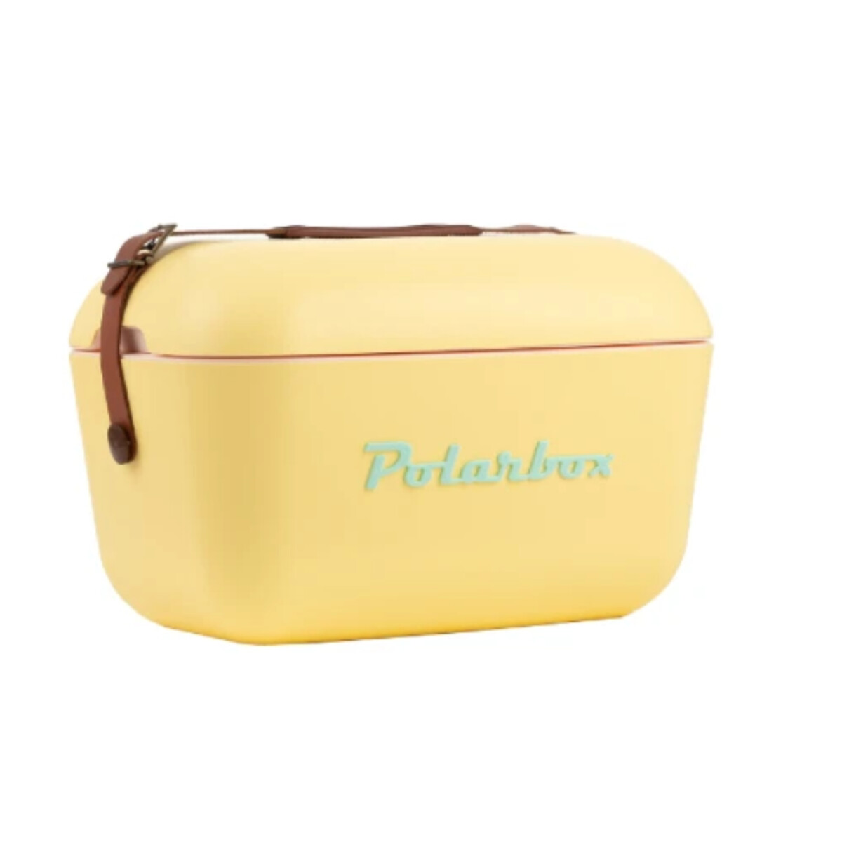 Conservadora Polarbox Classic Retro Vintage 20L - Amarilla 