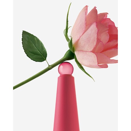 Perfume Issey Miyake L'Eau d'Issey Rose & Rose EDP 25ml Original Perfume Issey Miyake L'Eau d'Issey Rose & Rose EDP 25ml Original