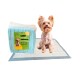 Pañales Entrenamiento Mascota 60x90cm Ultra Absorbente Pack x20 Unid Pañales Entrenamiento Mascota 60x90cm Ultra Absorbente Pack x20 Unid