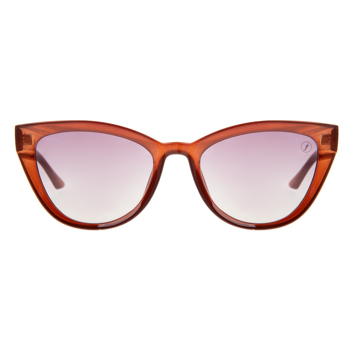 Lentes de Sol Chilli Beans Tapauá Cat Eye - Marrón 