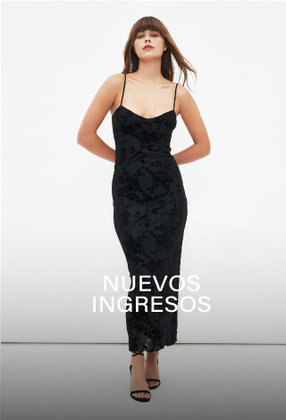 NUEVOS INGRESOS