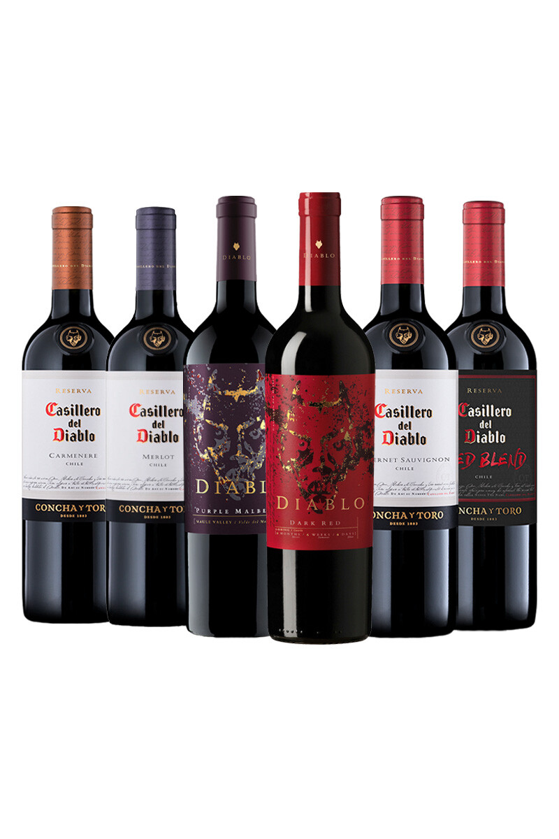Pack Selección Colección Casillero del Diablo x6 vinos 
