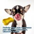 COMEDERO EN FORMA DE HUESO GRANDE PARA PERRO COMEDERO EN FORMA DE HUESO GRANDE PARA PERRO