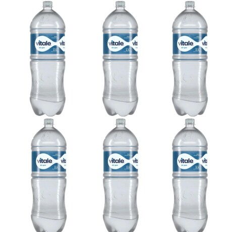 FUNDA X6 UNIDADES VITALE SIN GAS 2.25LTS 001