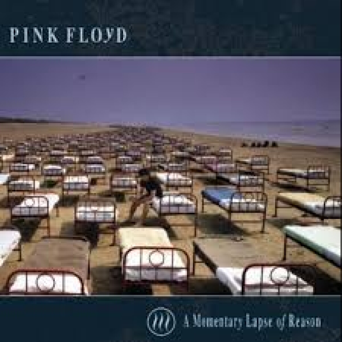Pink Floyd - Momentary Lapse Of Reason - Vinilo 