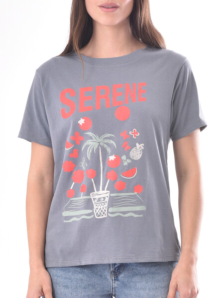 REMERA DENA VARIANTE 13