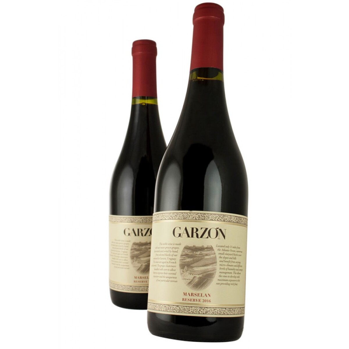 Garzón Reserva Marselan 