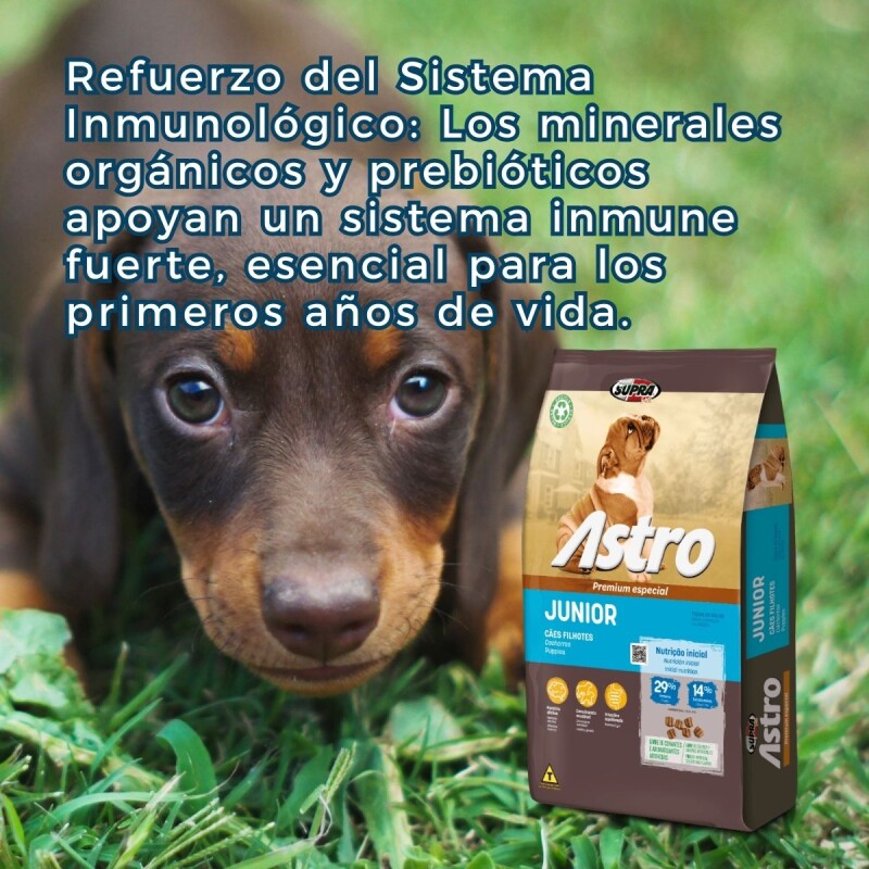 ASTRO CACHORRO PREMIUM ESPECIAL 14 KG + JUGUETE DE REGALO ASTRO CACHORRO PREMIUM ESPECIAL 14 KG + JUGUETE DE REGALO