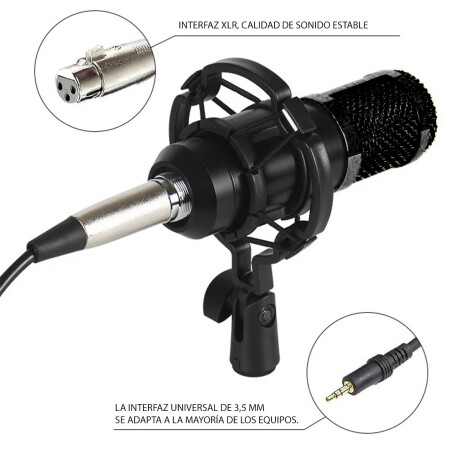 Set Micrófono Completo Estudio Grabación Podcast Pro Negro