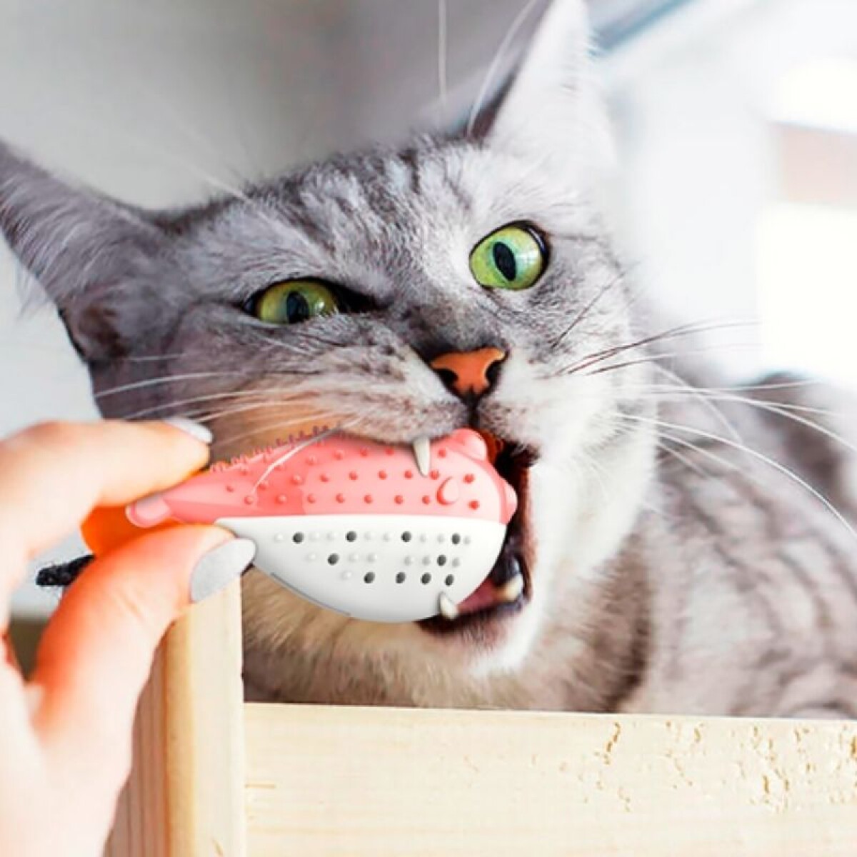 Juguete Interactivo Para Gato - Pez Globo Con Hierba Gatera 