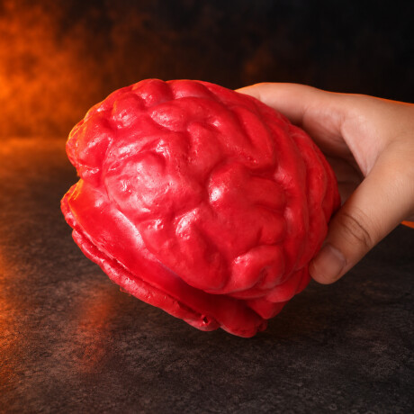 Cerebro decorativo Sc