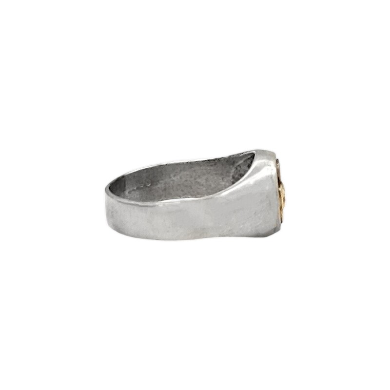 Anillo Profesión Auxiliar de Servicio-Plata y Oro-Sin Piedra-AP5023 sinpiedra