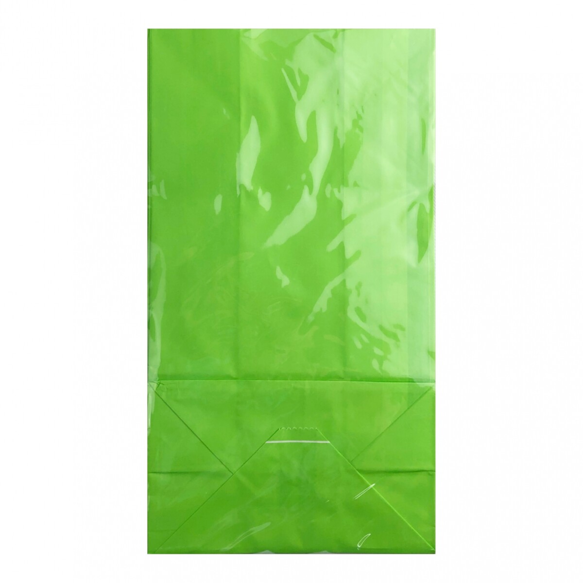 Bolsa de Papel Grande S/Asa x 10 - Verde 
