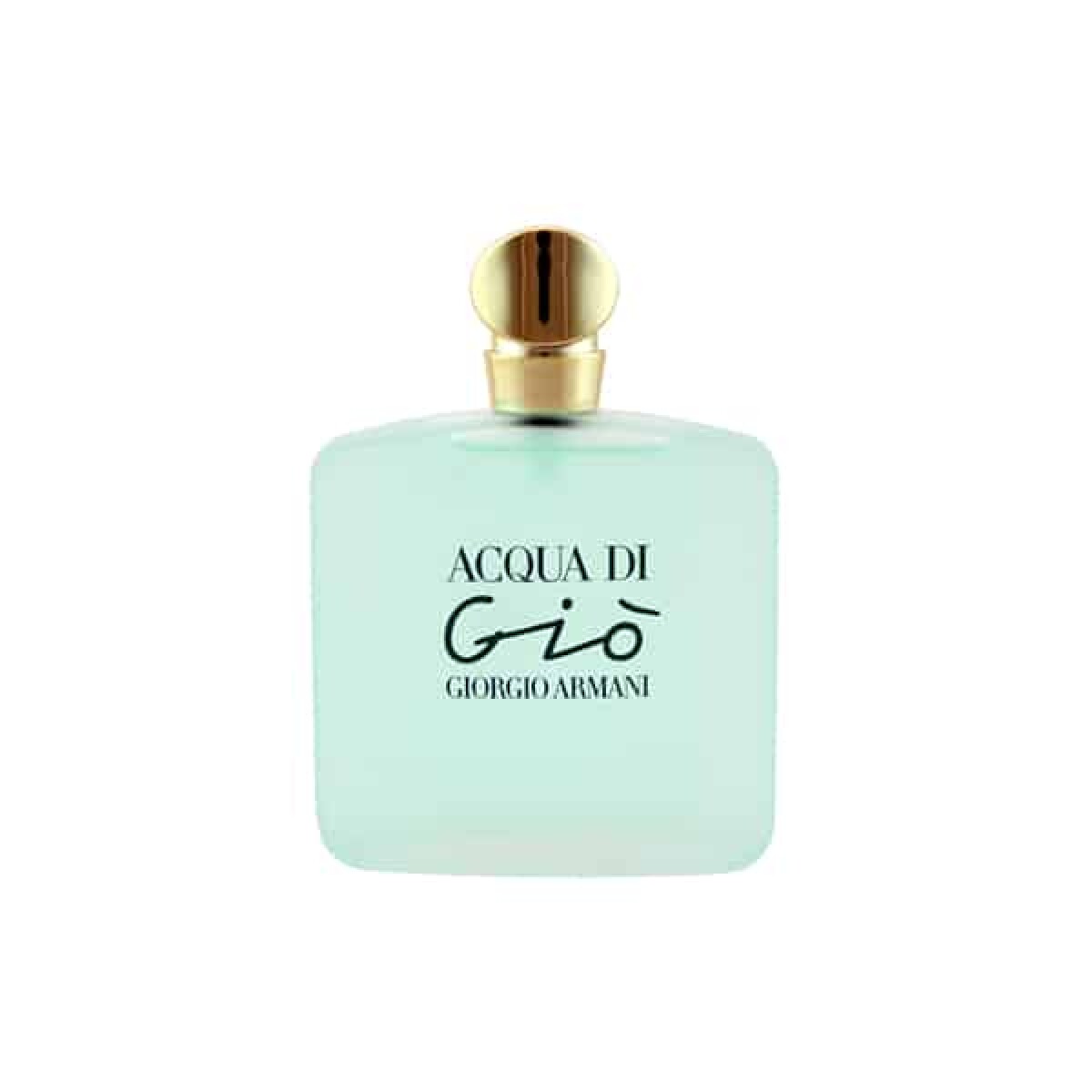 Perfume Acqua di Gio Woman EDT 100 ml 