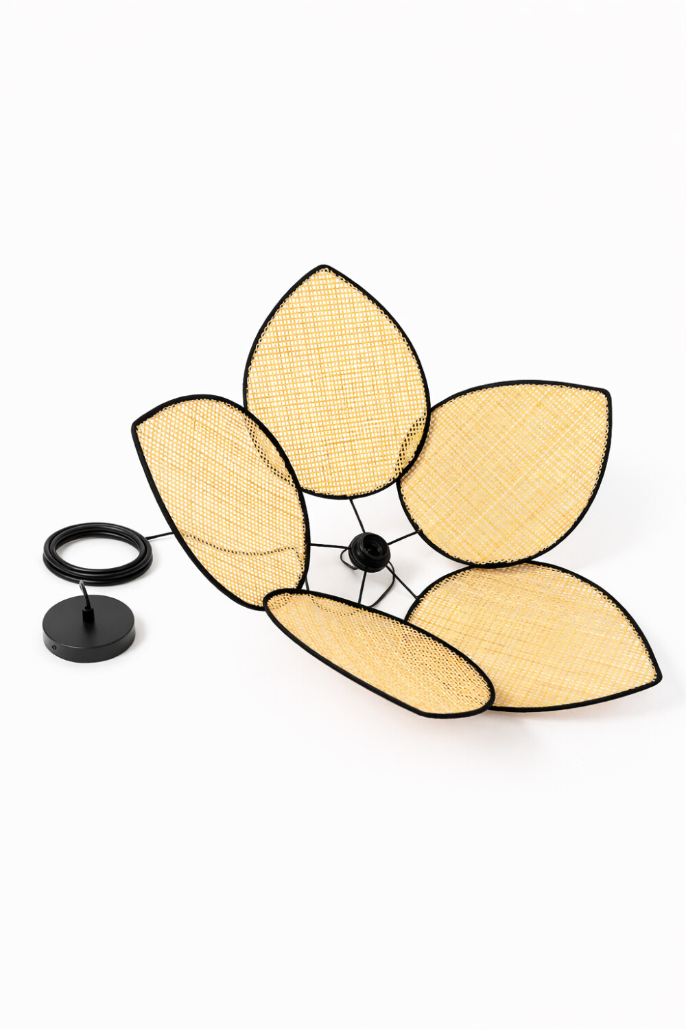 Lampra De Techo Laredo Color Unico