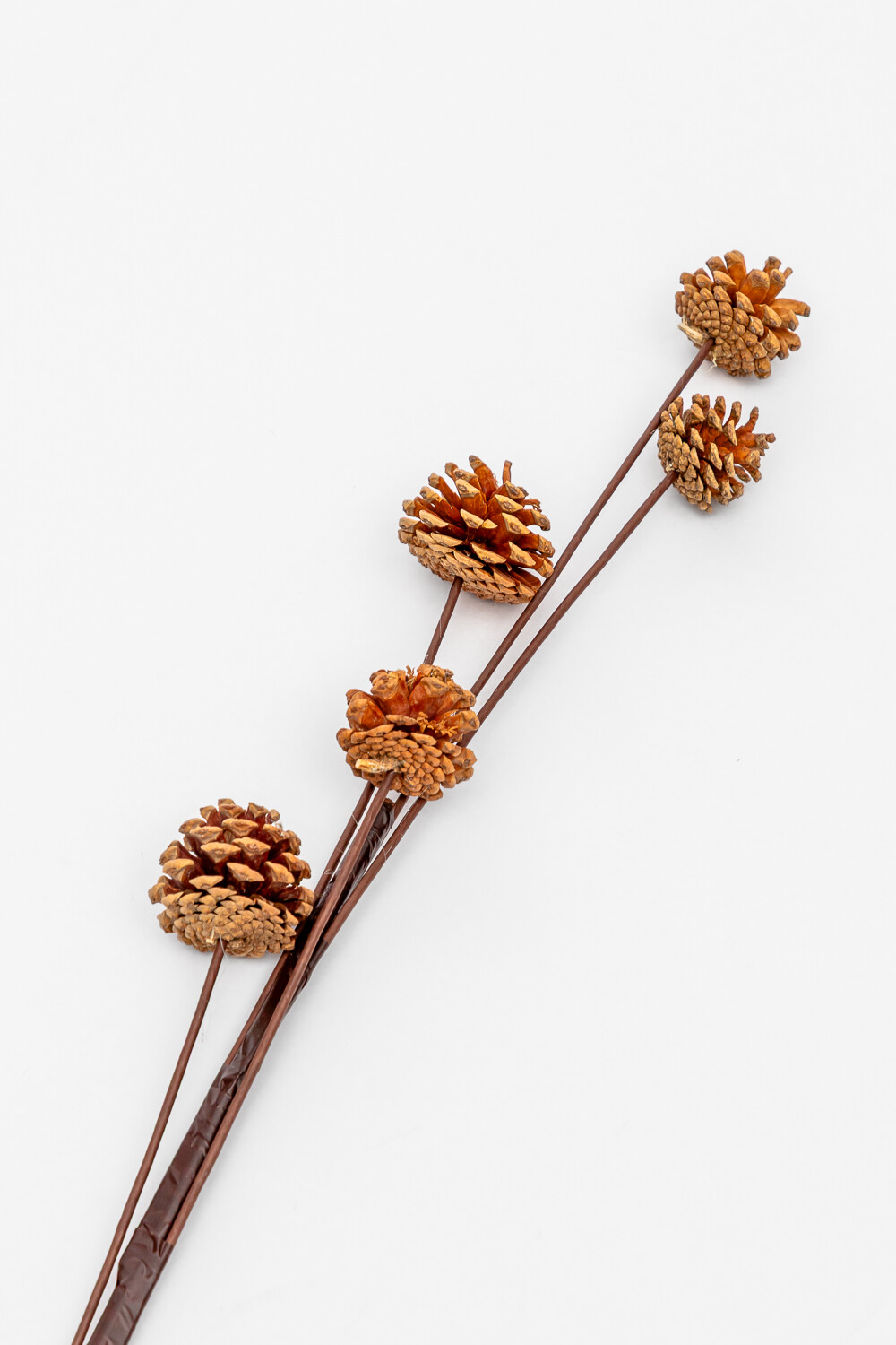 Deco Floral Conos De Pino Color Unico