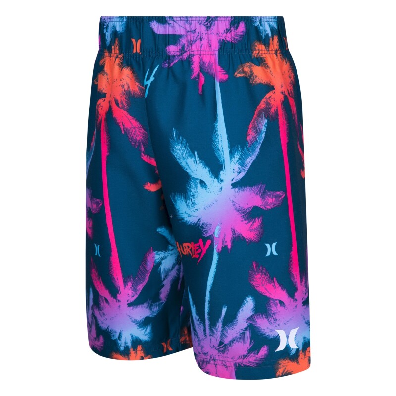Conjunto Palm Gradient Rashguard de Niño Azul