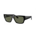 Ray-Ban Carlos Black Polarizado