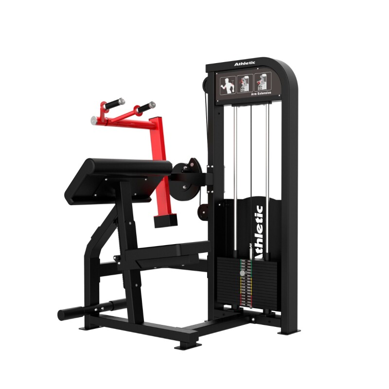 DYNAMIC - TRICEPS EXTENSION Negro