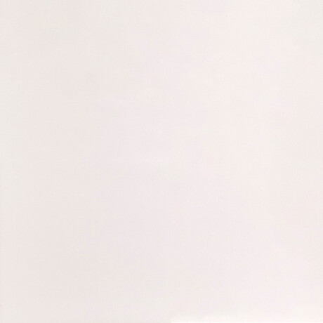 Porcelanato Blanco Escovado Rectificado 60X60Cm Piso Pared GAMAS DE BLANCO