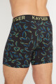 BOXER ALG.LYC. LARGO VERDE MALVA