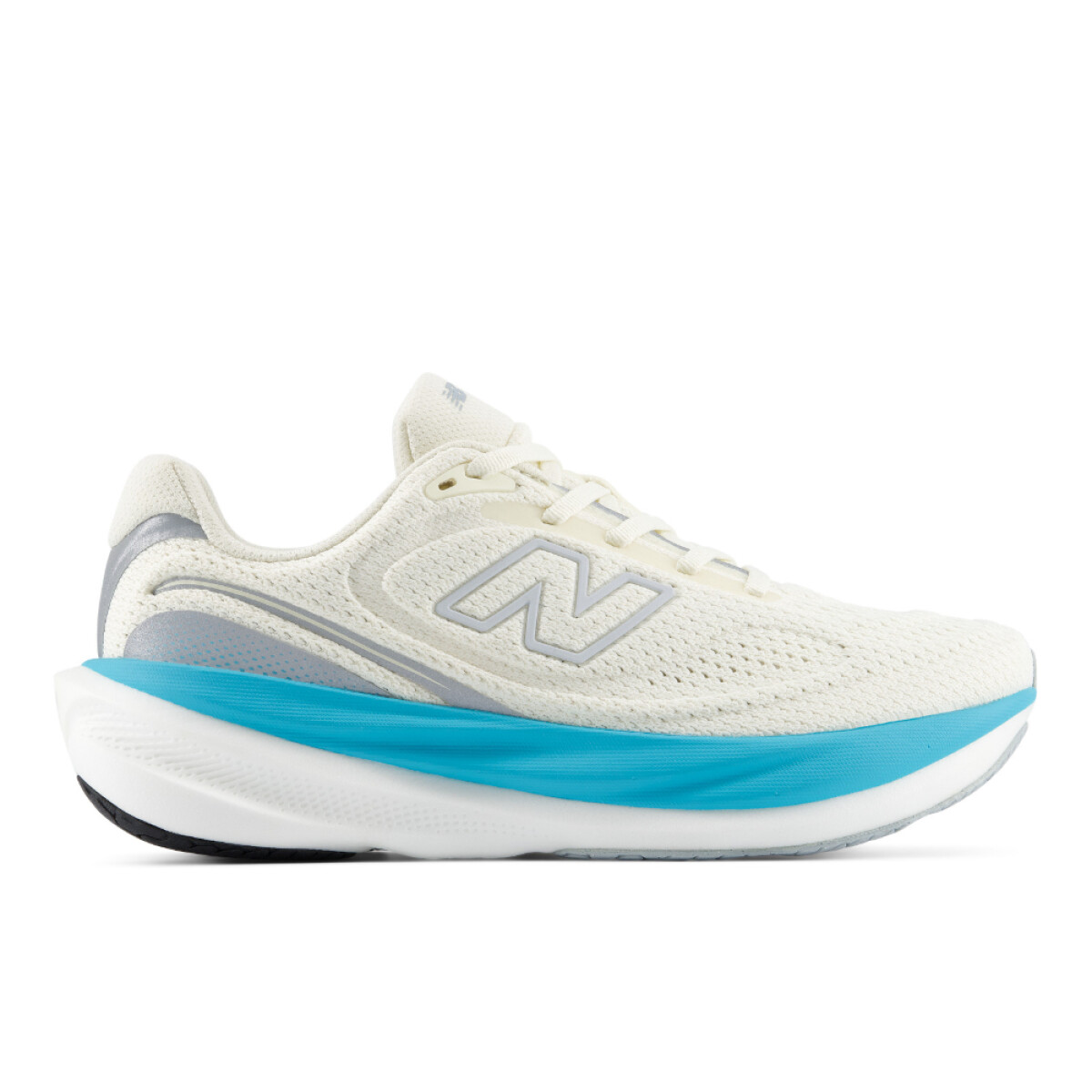 Zapatillas Running 1080 V15 Mujer 