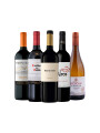 Pack Bacán Selección Entre Dos Mundos- Equilibrio clásico x5 vinos Pack Bacán Selección Entre Dos Mundos- Equilibrio clásico x5 vinos