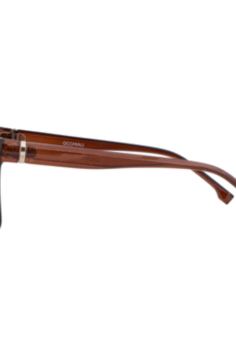 Lentes de sol Marrón
