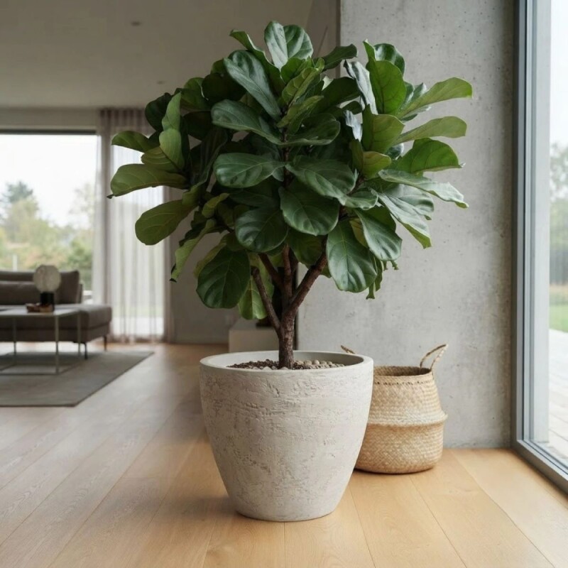 MACETERO PLAST BEIGE 45X69CM Unica