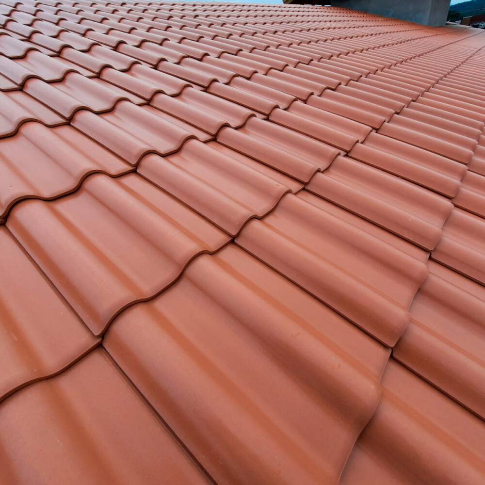 TEJA PREMIER NEW NATURALLI AMAZONIA PINHAO Teja Premier New Naturalli Amazonia Pinhao