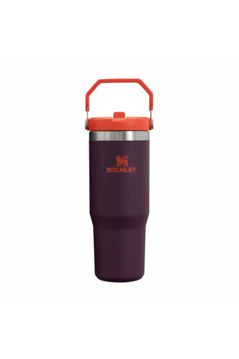 FLIP STRAW TUMBLER | 887 ML PLUM STRIPE