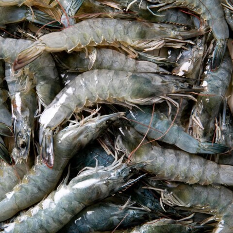 LANGOSTINO ENTERO VANNAMEI 80/100 pcs/kg (CARNADA) - 2 KG Langostino Entero Vannamei 80/100 Pcs/kg (carnada) - 2 Kg