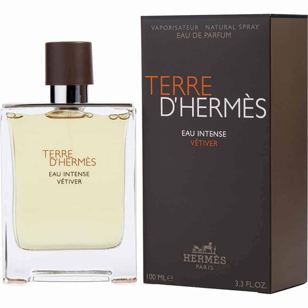 Perfume Hermes Terre D'Hermes Vetiver Edp 100 ml 
