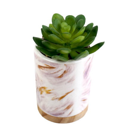 PLANTA ARTIFICIAL SUCULENTA C/MACETA CERAMICA VETEAD 6CM DIAMX12CM PLANTA ARTIFICIAL SUCULENTA C/MACETA CERAMICA VETEAD 6CM DIAMX12CM