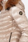 CAMPERA LION Champagne