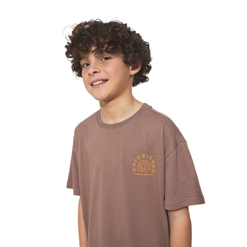 Remera Quiksilver Curve Palm niño - Marrón Remera Quiksilver Curve Palm niño - Marrón